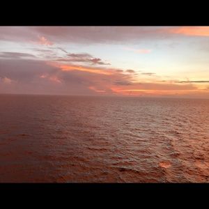 Meet your Posher, Louis